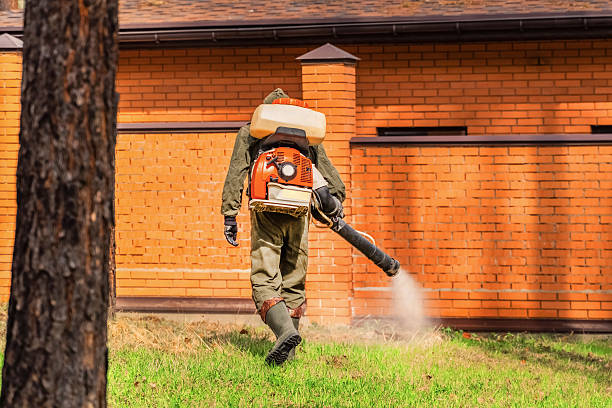 Trusted Bed Bug Control service in Ridgeville, SC - Nex Pest Control
